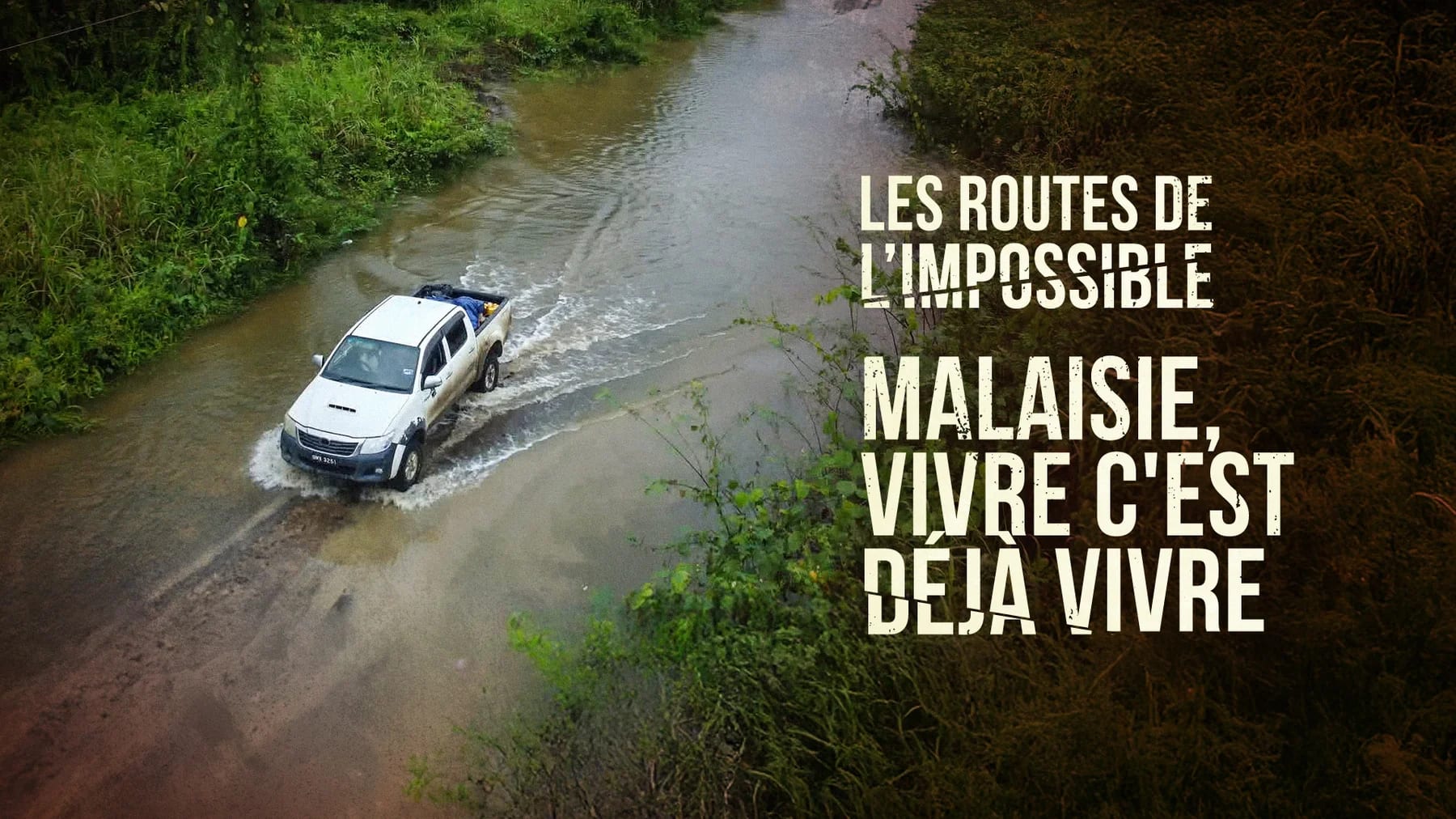 Bornéo : entre déforestation massive et survie des populations locales en Malaisie