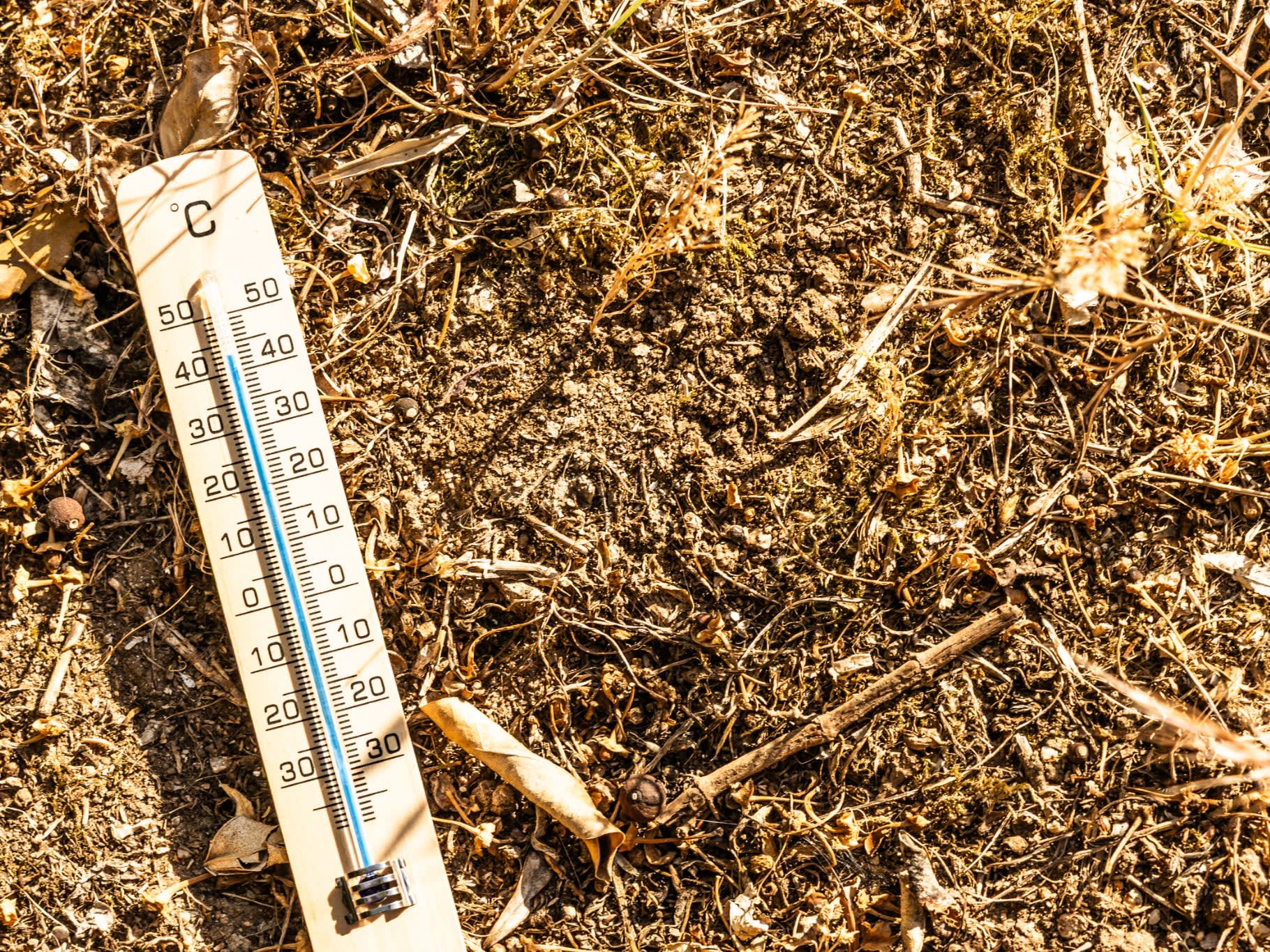 Canicule : sept départements du Sud placés en vigilance orange par Météo-France