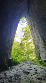 images/0PmMdFVCVqrApocMJyD59BOLsbuoKAR5Cz-VbogBSRo-576x1024