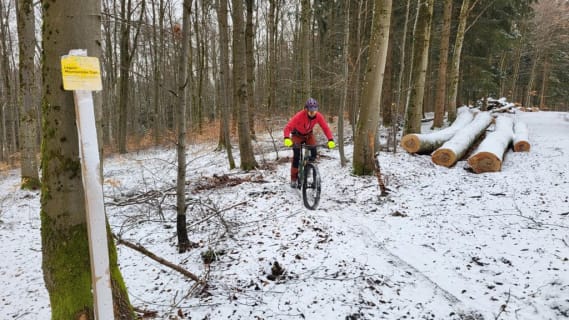 images/t1WL8re-lMwRG0sTSEFY9xmzoh2DJ09ocm1OSwelzM4-1024x576