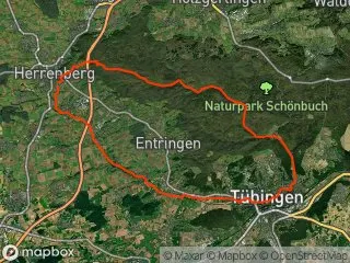 https://res.cloudinary.com/mtb-loc/image/upload/q_auto:eco/v1641221650/preview/2025-03-22-Durch-den-Schoenbuch-mit-Papa.webp