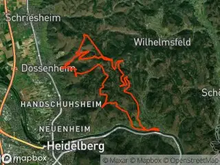 https://res.cloudinary.com/mtb-loc/image/upload/q_auto:eco/v1641221650/preview/2026-06-06-Dossenheim-Steinbrecher-Trails.webp