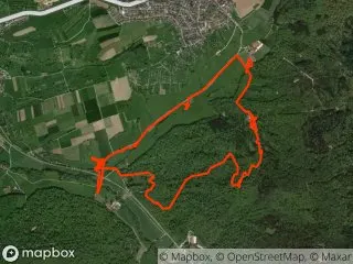 https://res.cloudinary.com/mtb-loc/image/upload/q_auto:eco/v1641487695/preview/2011-08-01-Nachmittagspaziergang.webp