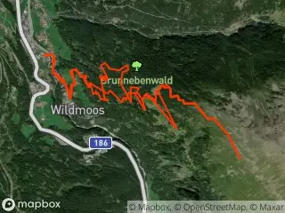 https://res.cloudinary.com/mtb-loc/image/upload/q_auto:eco/v1641487695/preview/2017-06-17-Brunnenbergalm.webp