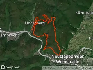 https://res.cloudinary.com/mtb-loc/image/upload/q_auto:eco/v1641487695/preview/2019-05-13-Pfalz-Ausrollen.webp