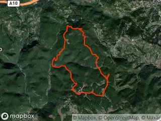 https://res.cloudinary.com/mtb-loc/image/upload/q_auto:eco/v1641487695/preview/2020-01-04-Finale-Finale.webp