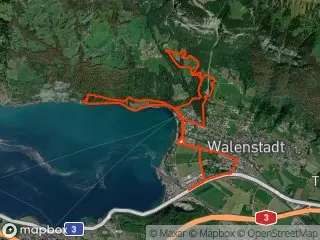 https://res.cloudinary.com/mtb-loc/image/upload/q_auto:eco/v1641487695/preview/2024-08-30-Walensee.webp
