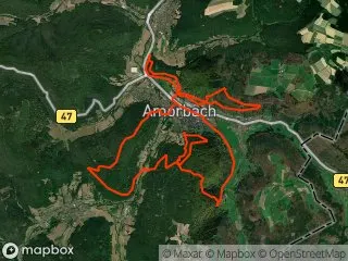 https://res.cloudinary.com/mtb-loc/image/upload/q_auto:eco/v1641487695/preview/2025-05-04-Amorbach.webp