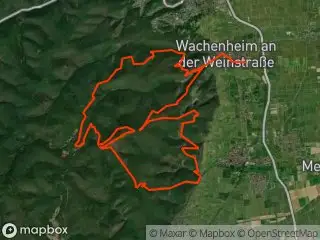 https://res.cloudinary.com/mtb-loc/image/upload/q_auto:eco/v1641487695/preview/2026-10-16-Deidesheim-Edelschweiss-Trails.webp