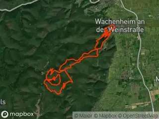 https://res.cloudinary.com/mtb-loc/image/upload/q_auto:eco/v1641487695/preview/2026-10-17-Wachenheim.webp