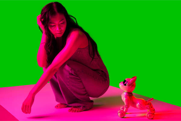 Artwork for The Robot Dog programme