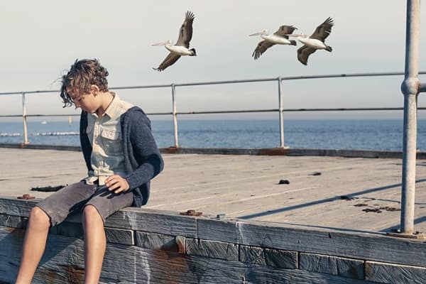 Artwork for Storm Boy Programme