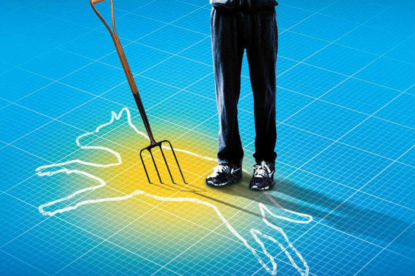 1 2018-MTC-Main-Image_800x450_Curious NEW.jpg