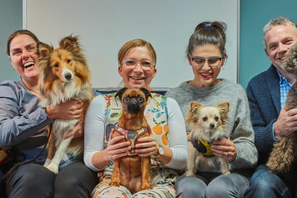 A pre-pandemic portrait of MTC pooches and their people. Photo: Tim Grey, 2019