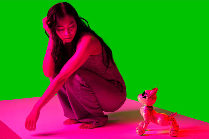 Artwork for The Robot Dog programme