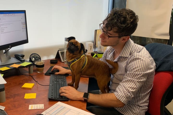 MTC Production Manager Abe Watson at work with Willow the dog. Photo: MTC