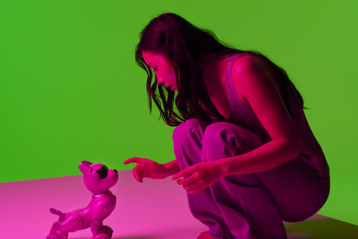 Artwork for The Robot Dog trailer