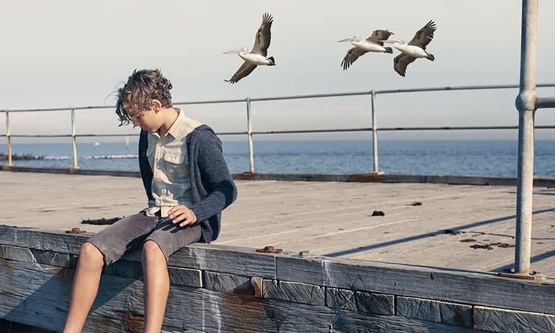 Artwork for Storm Boy