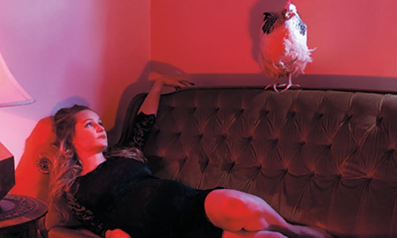 Artwork for Menagerie