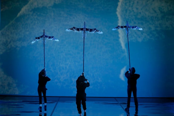 Artwork for Projections in Storm Boy