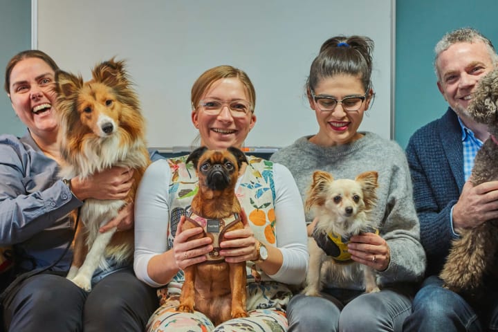 Artwork for Dogs of MTC