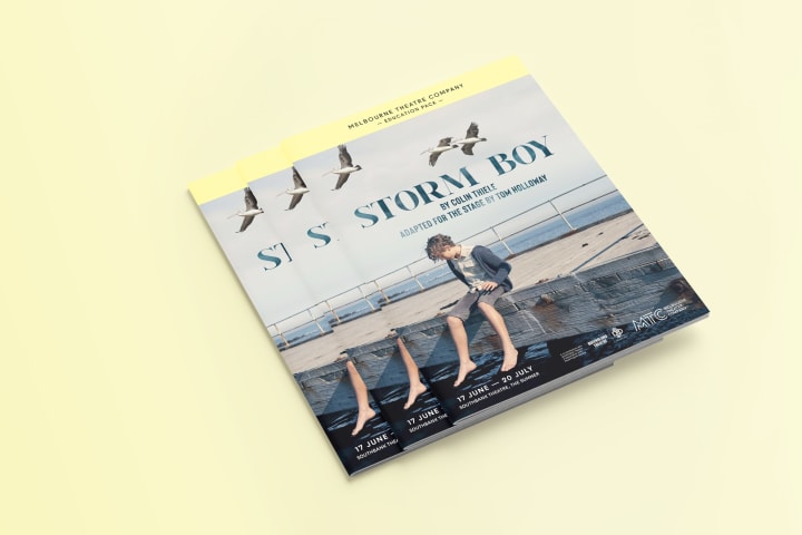 Artwork for Storm Boy education pack