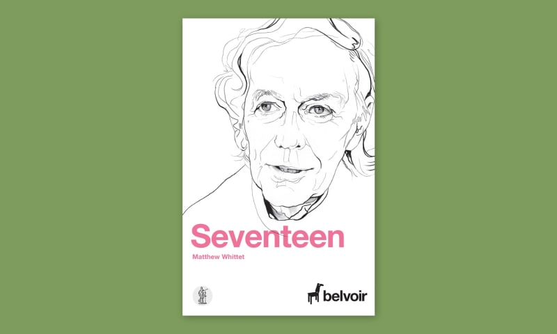 Artwork for Seventeen