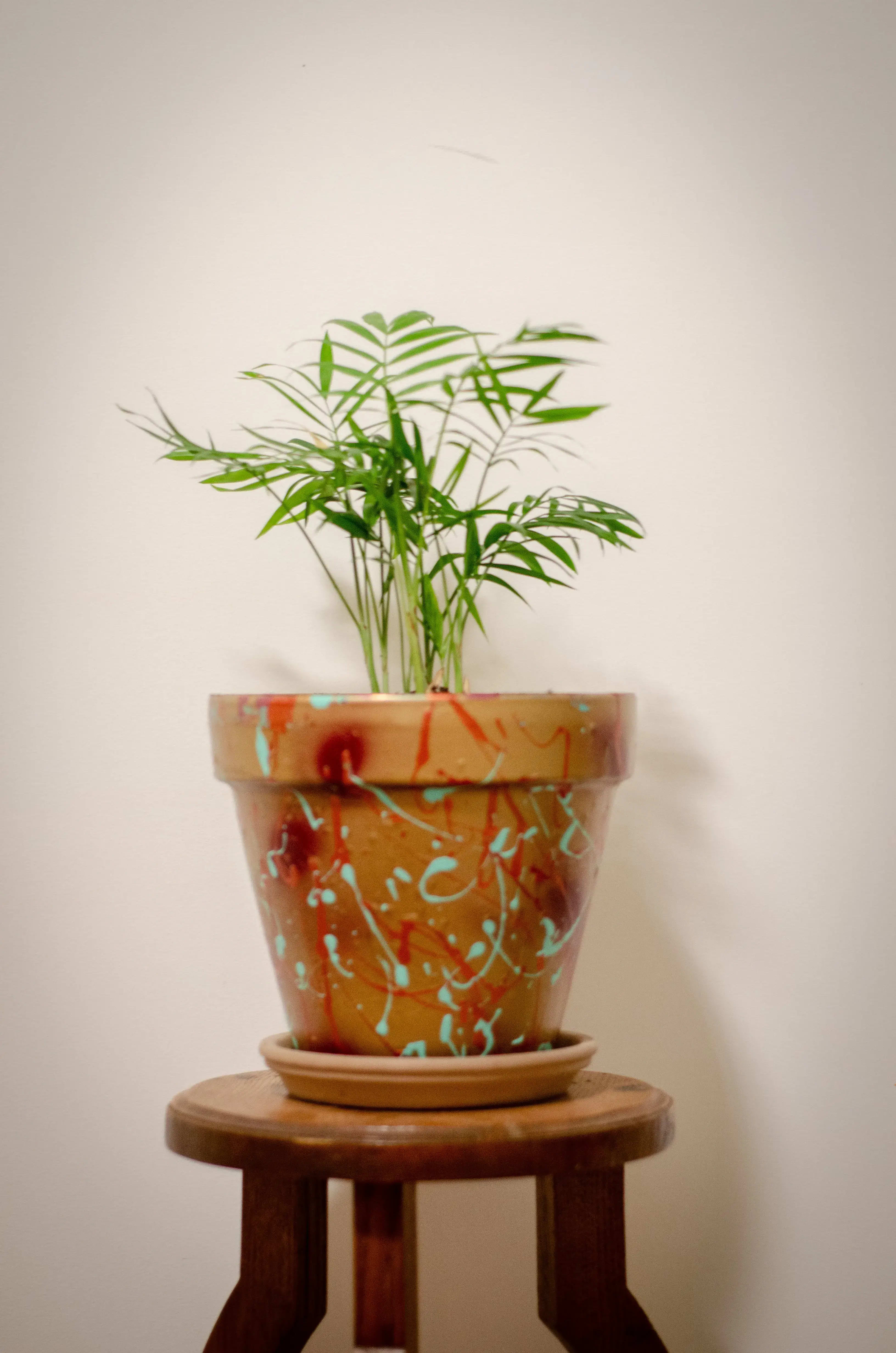 Petit pot or