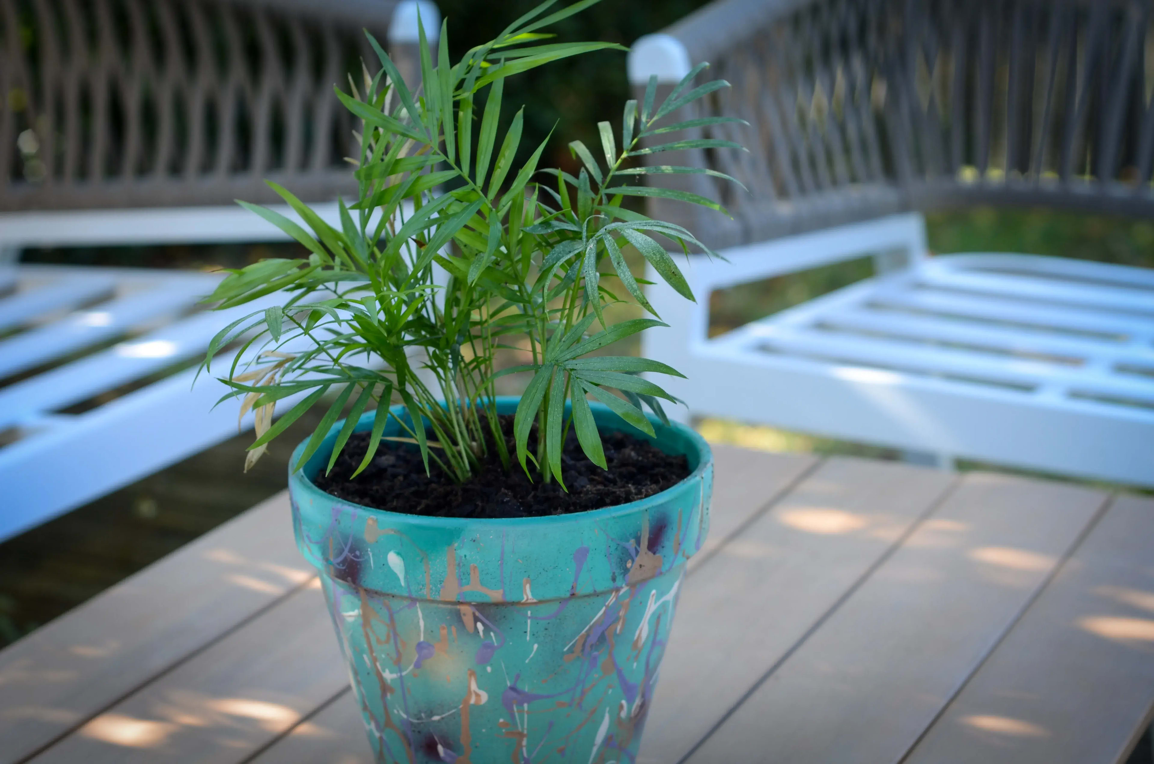 Petit pot bleu turquoise 1