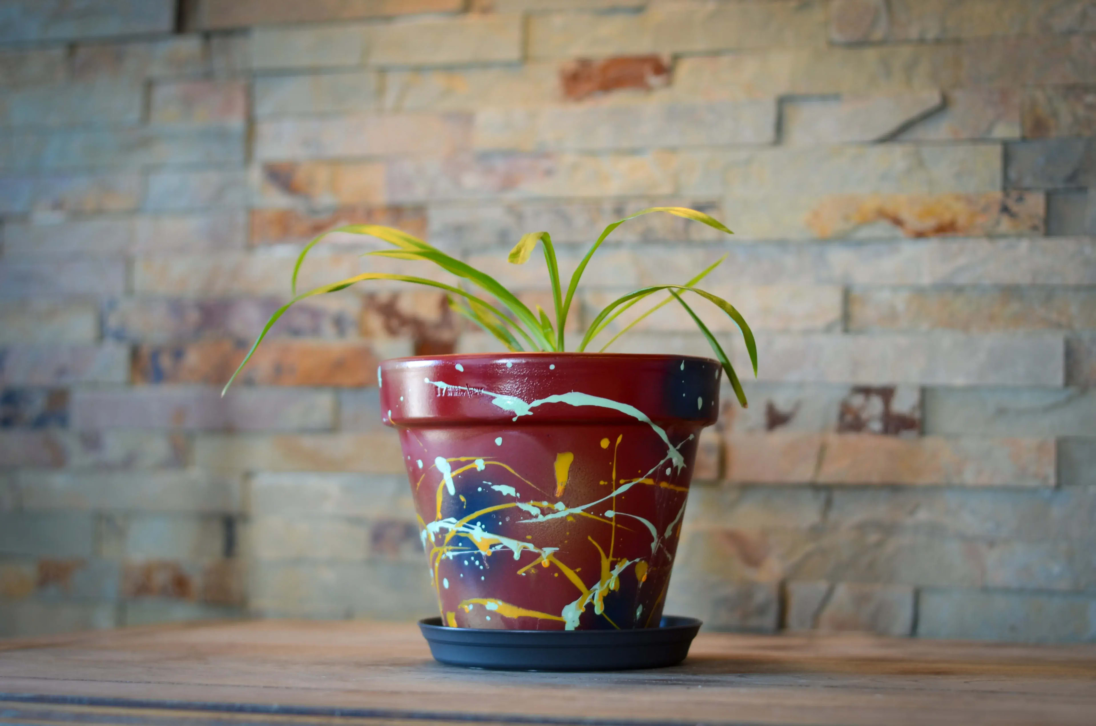 Petit pot bordeaux 1