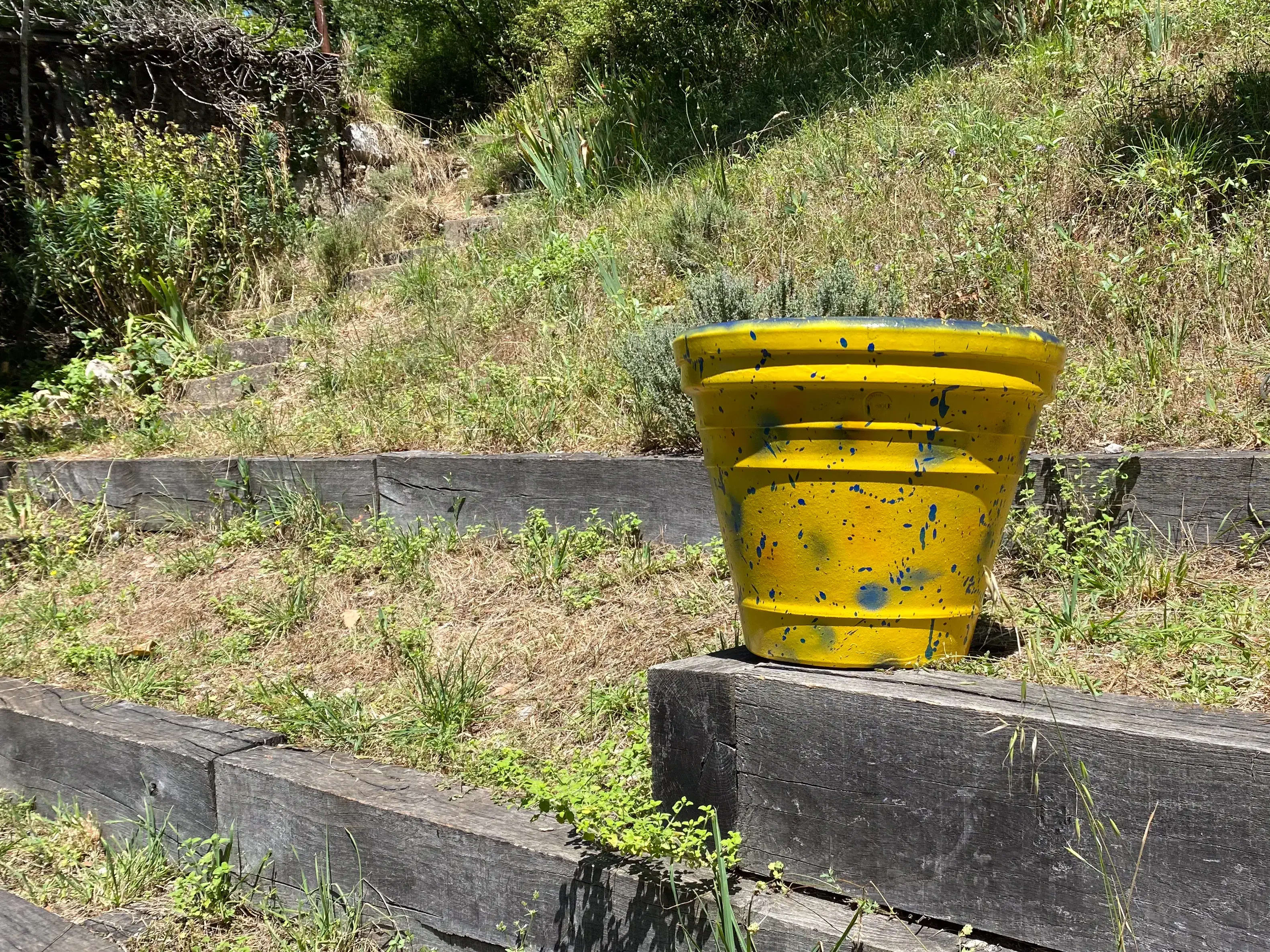 Pot jaune (grand format) 1