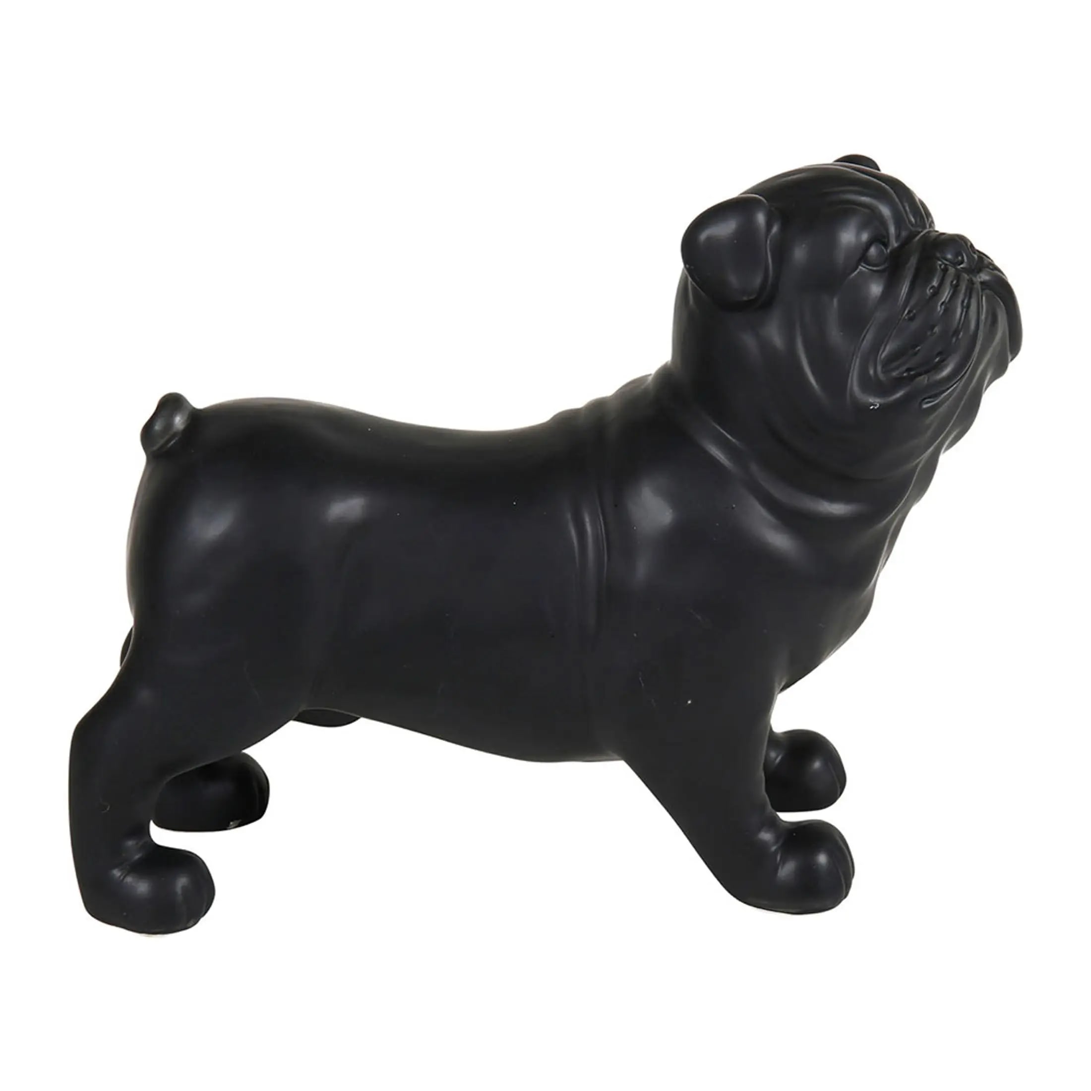 Bouledogue debout 28