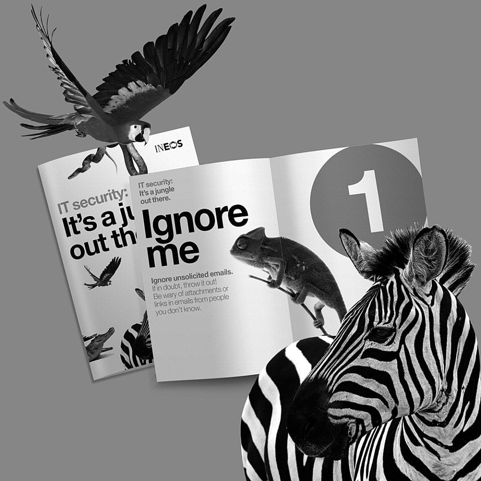 IT jungle booklet BW