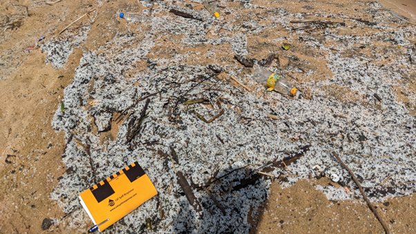 The shoreline at Poruthota Beach is covered with plastic nurdles and other debris, a direct consequence of the X-Press Pearl vessel disaster. The contamination poses a severe environmental threat, requiring urgent response efforts.
