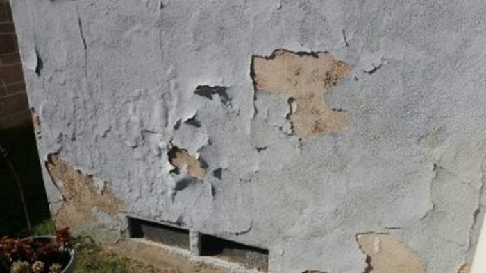 wall stucco damage caused by snails