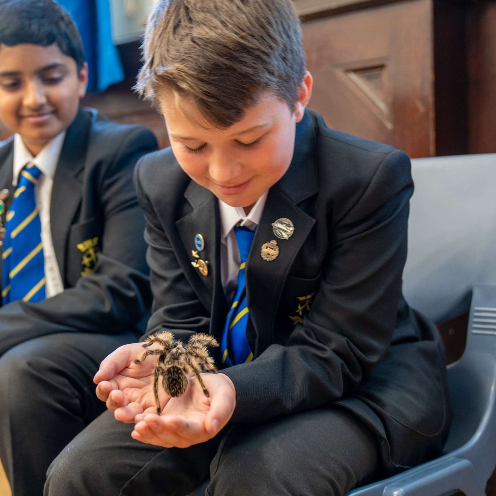 Animal Visits to Schools: Exotic Explorers Animal Visits to Schools: Exotic Explorers