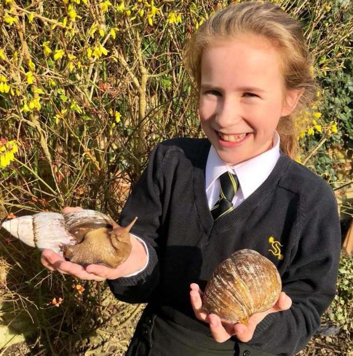 a school girl holding 2 giant african snails