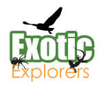 Exotic Explorers company logo