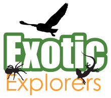 Exotic Explorers logo