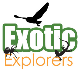 Exotic Explorers company logo