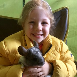 A young smiling girl with a VIP Experience handling a Chinchilla