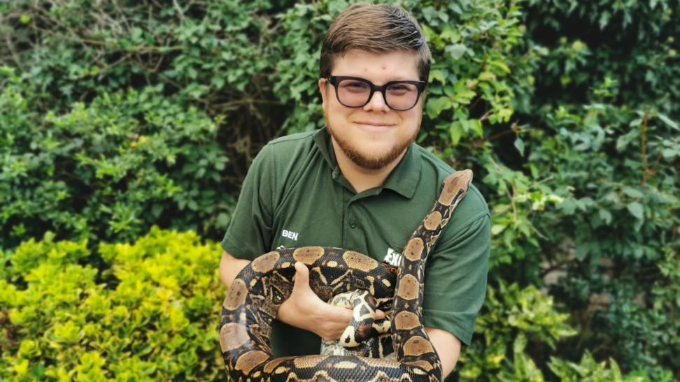 Company director, Ben, with a large snake