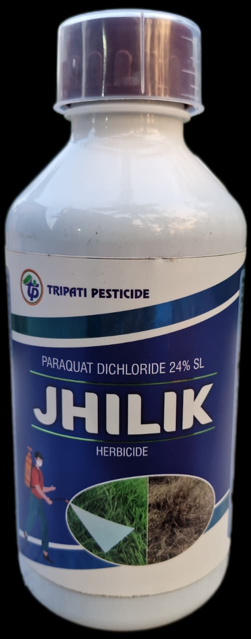JHILIK - Slide 1