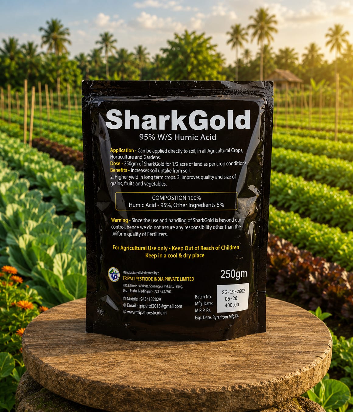 SHARK GOLD thumbnail 2
