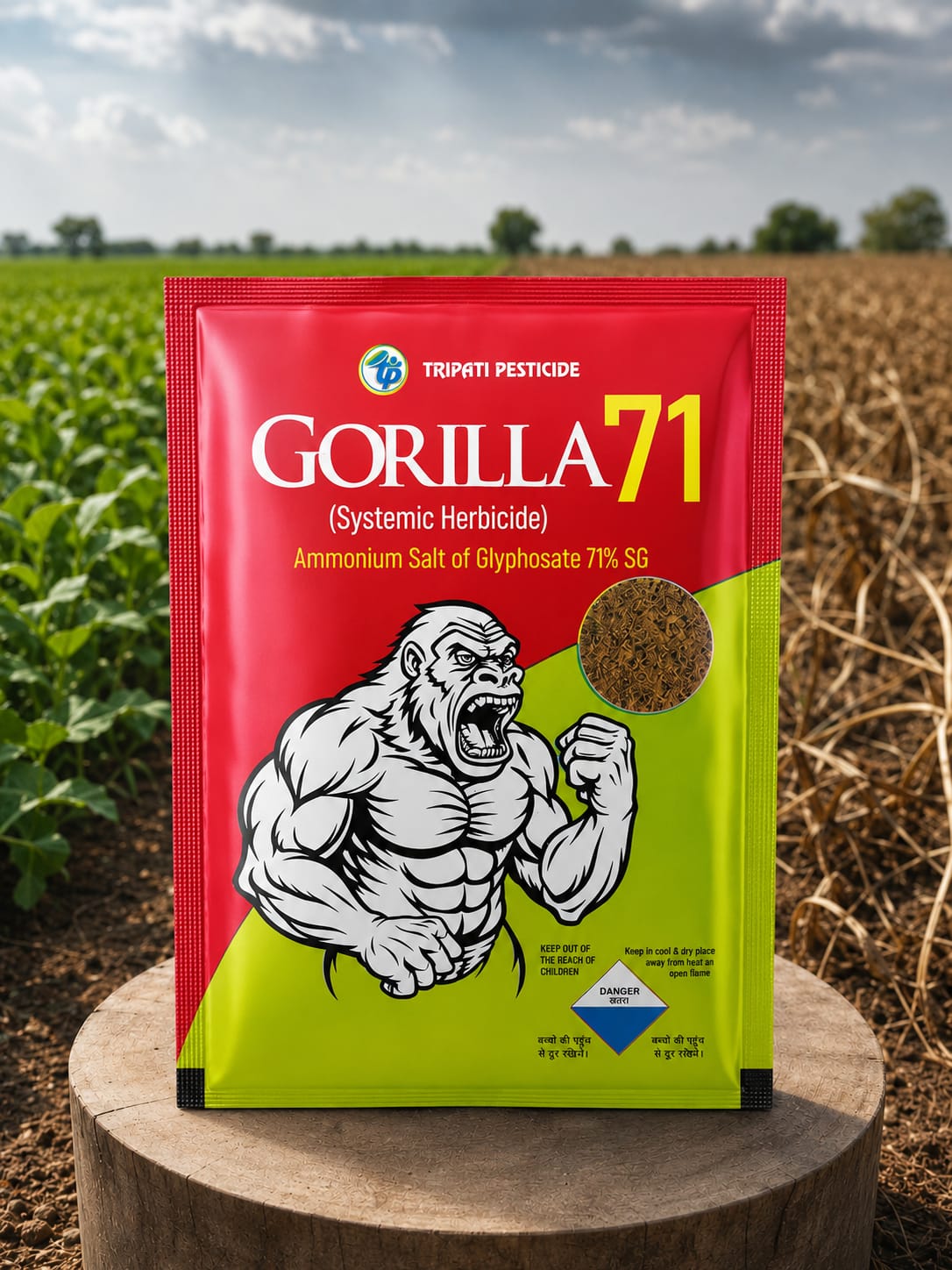 GORILLA 71 - Slide 1