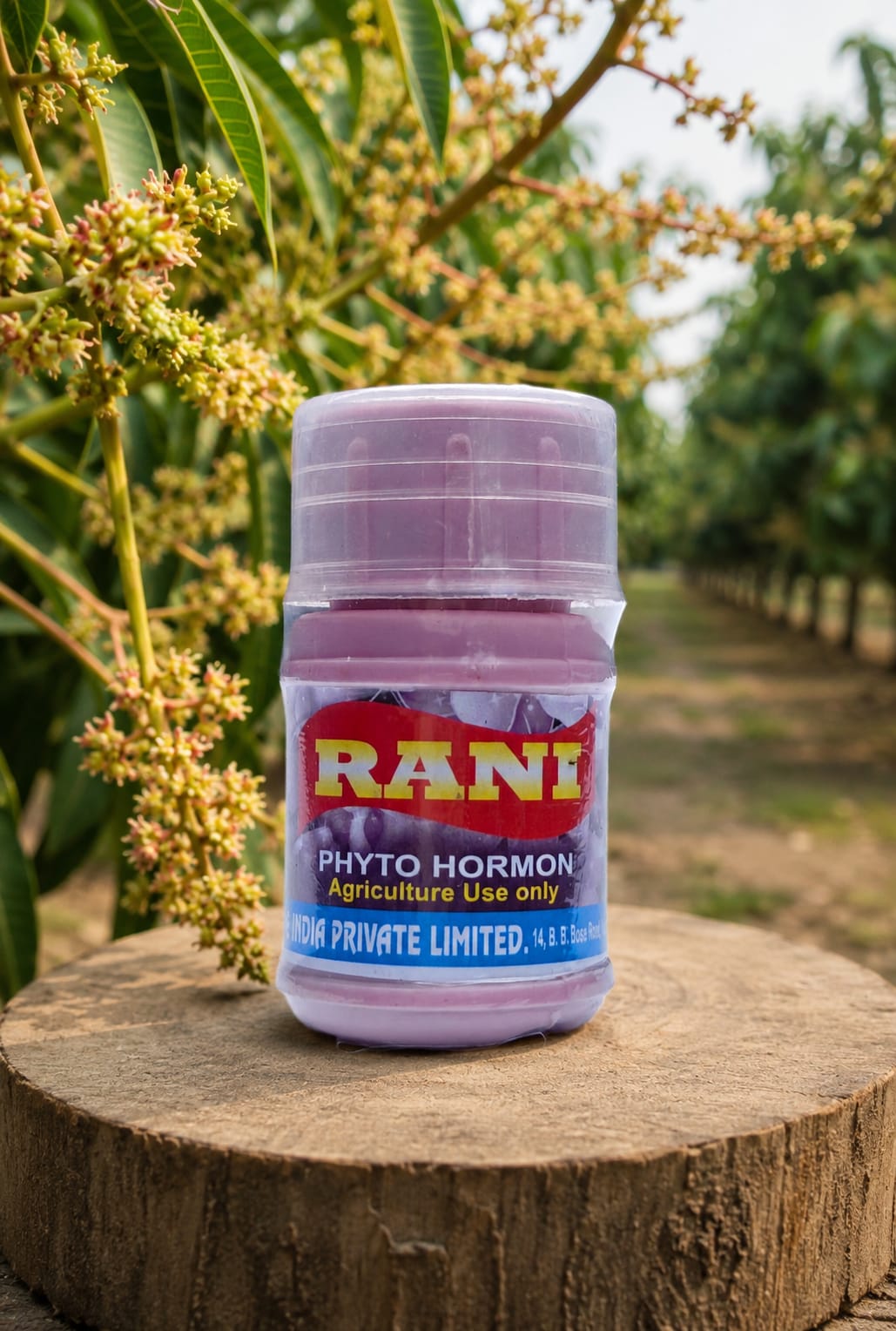 RANI