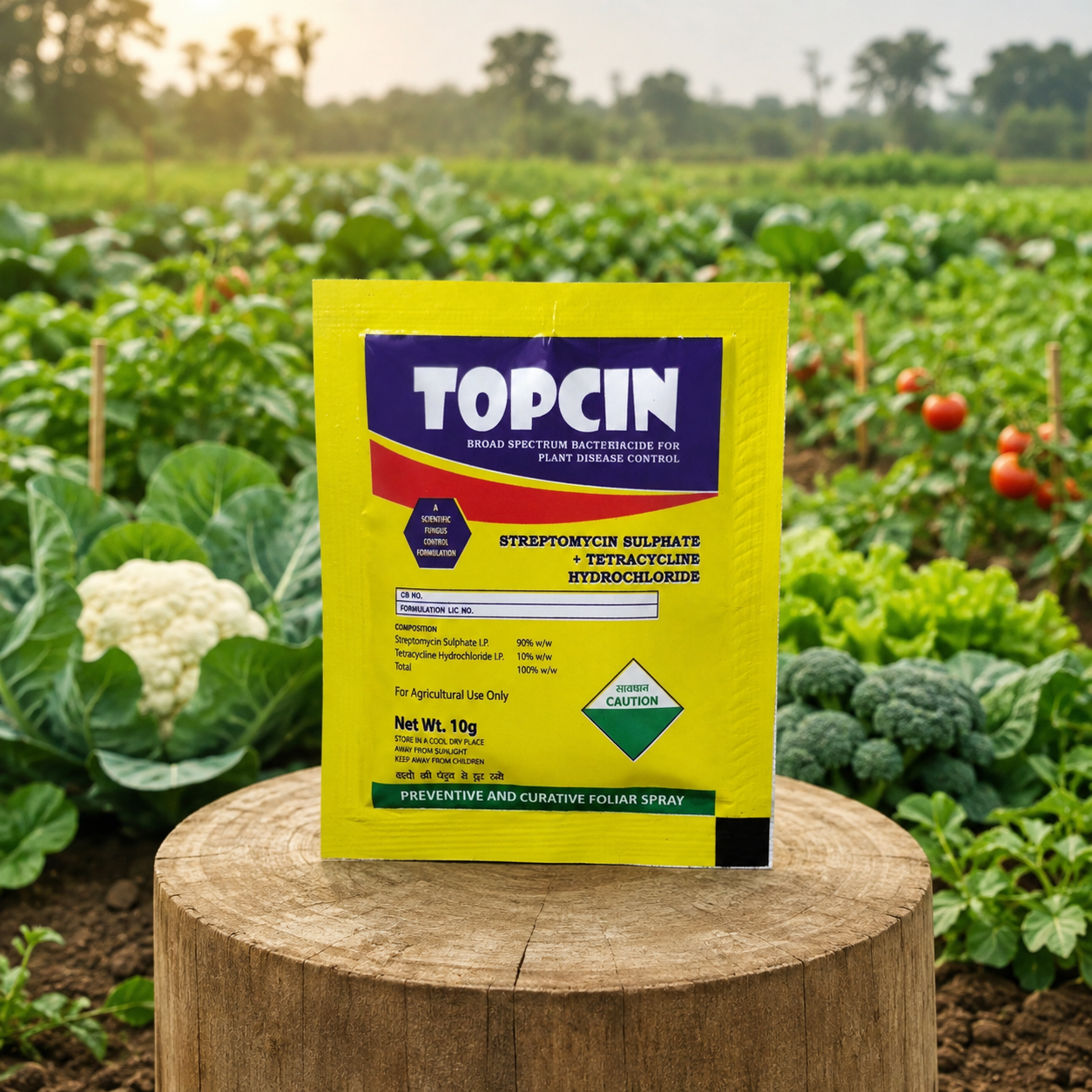TOPCIN - Slide 1