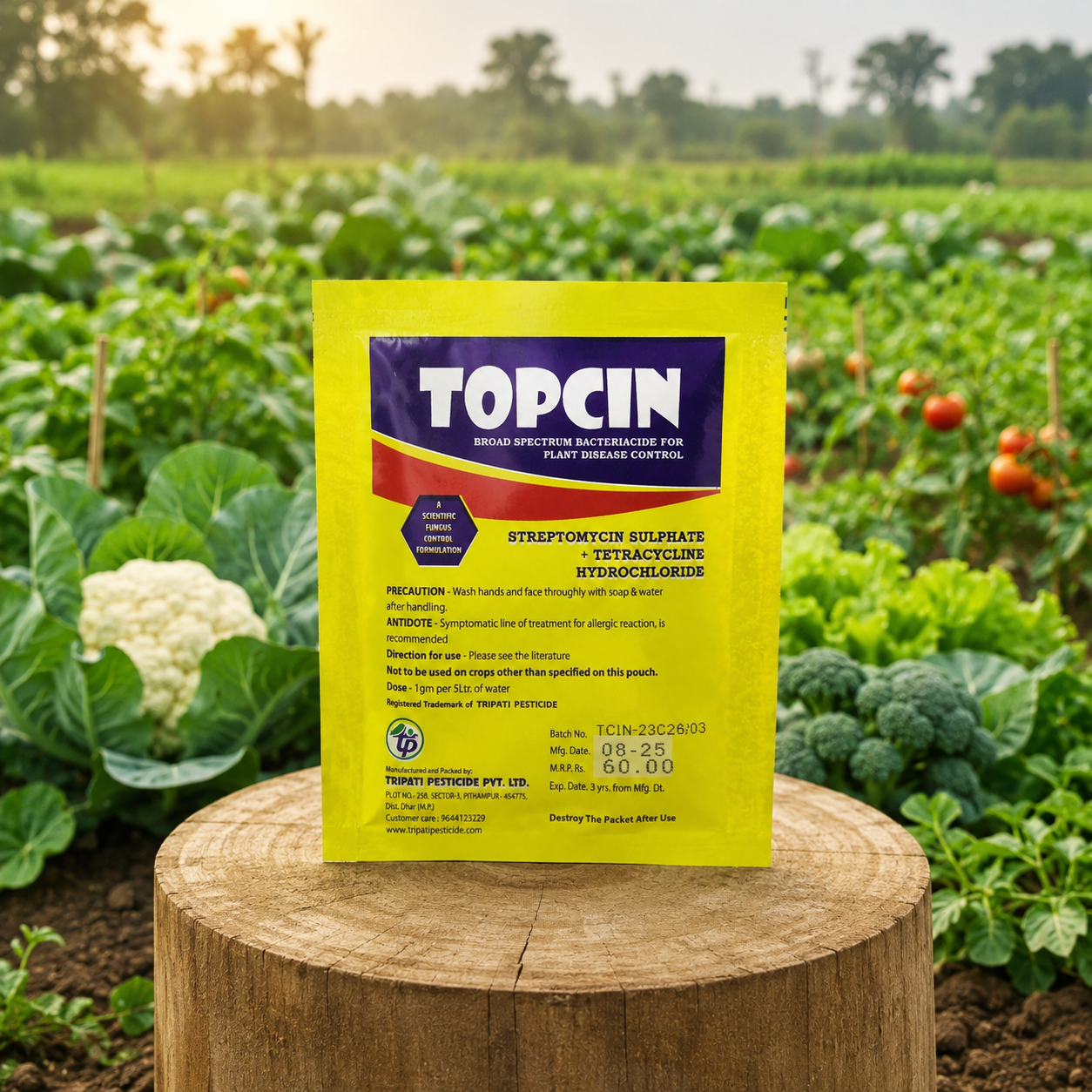 TOPCIN thumbnail 2