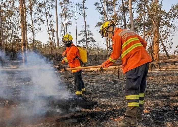 TCDF e Pequim promovem intercâmbio em auditoria ambiental