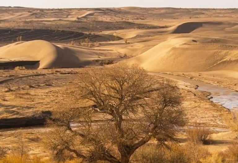 COP17 na Mongólia encerra negociações com apelo por financiamento contra desertificação